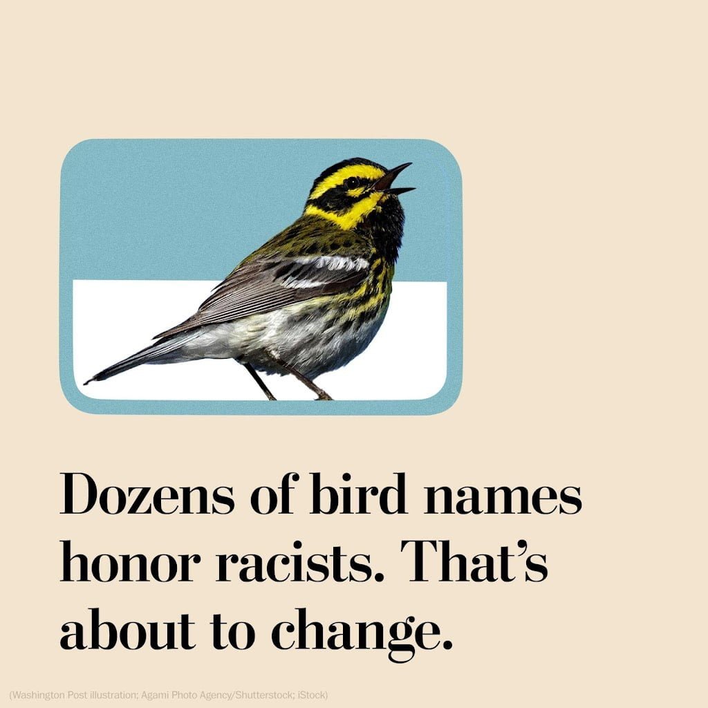 Bird Names Changing?