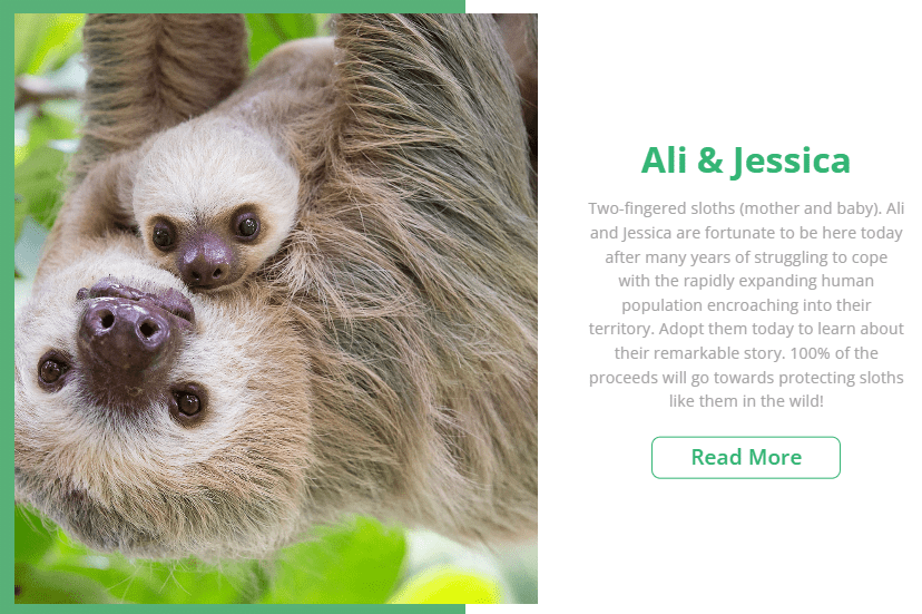 Adopt-a-Sloth