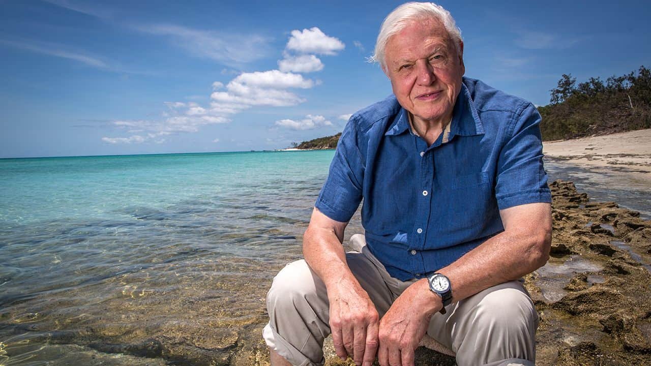 Happy 98th Birthday David Attenborough