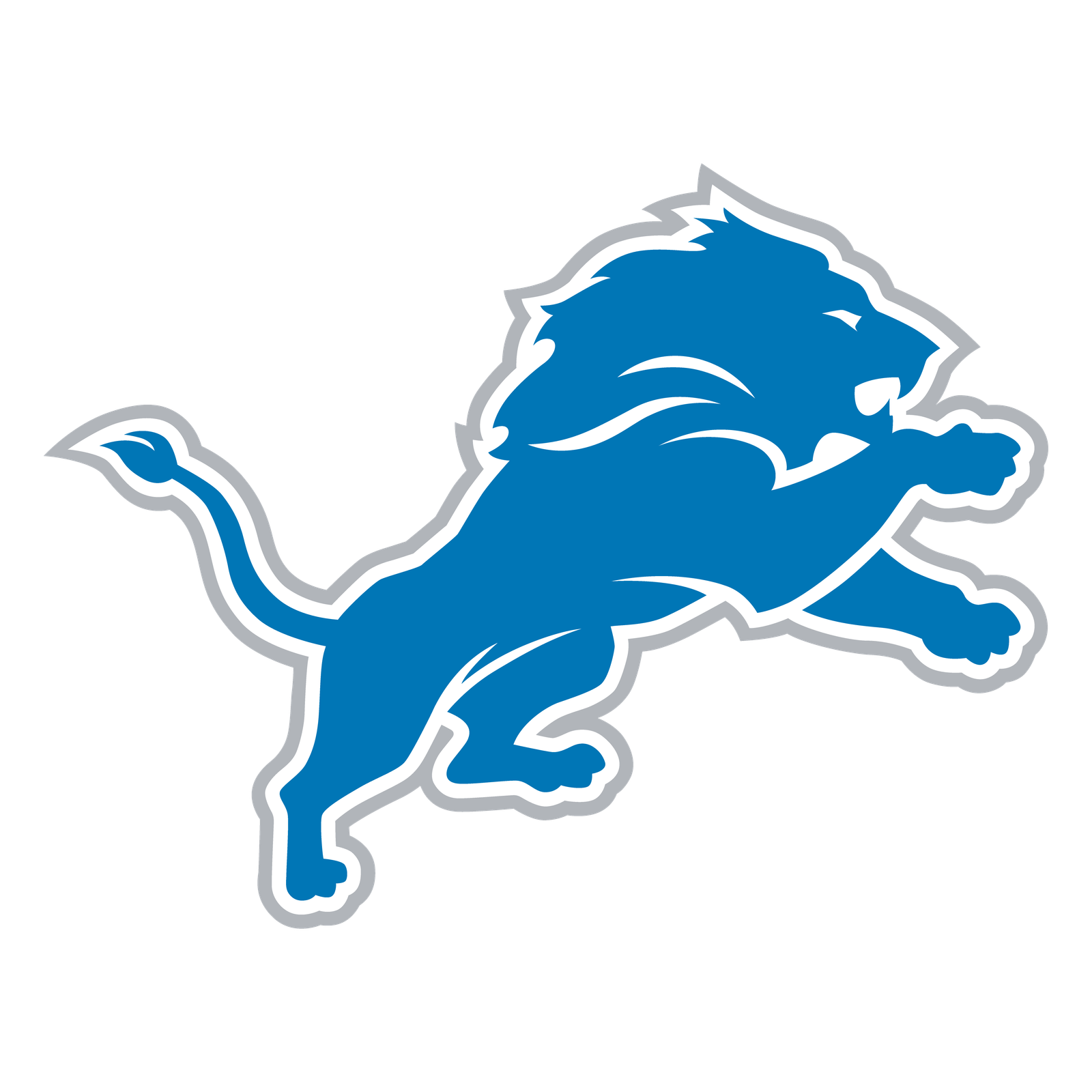 My Detroit Lions