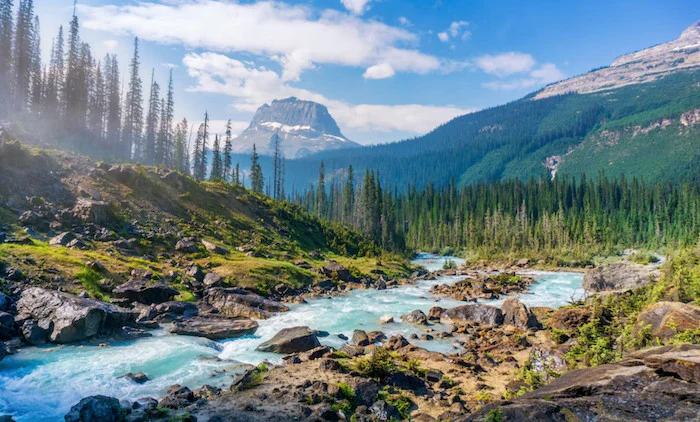 Beware America – Public lands are for sale