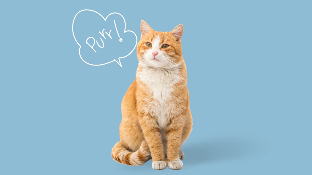 The best explanation of the double-slit experiment